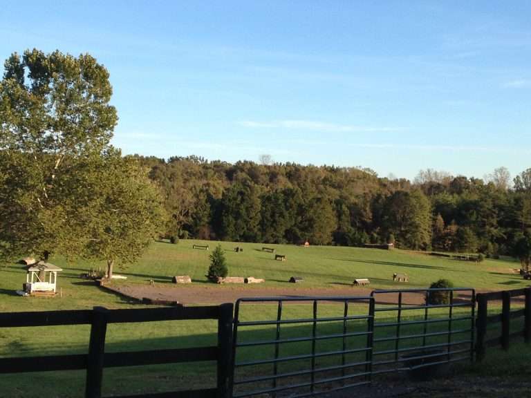 Win Green Cross country schooling in Northern Virginia, field with jumps