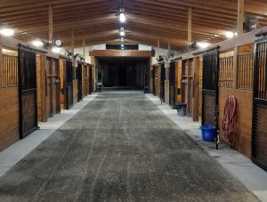 WinGreen cross country schooling horse barn interior