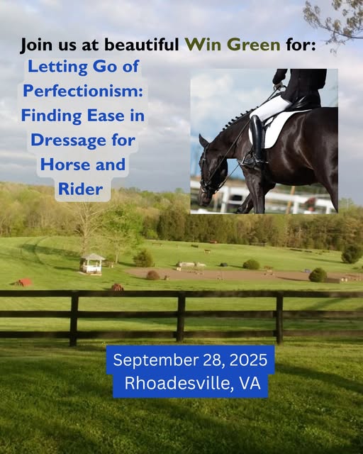 Flyer for Letting Go of Perfectionism clinic