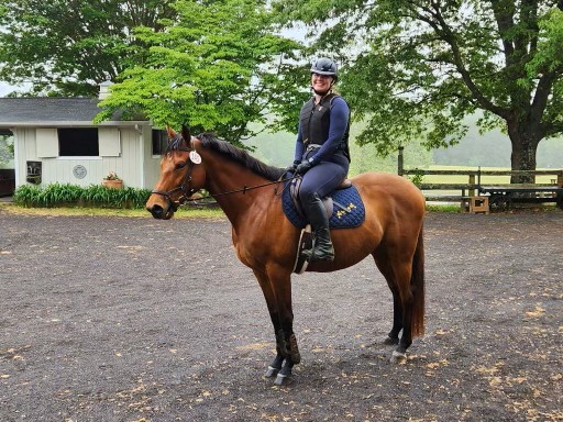 Horse and rider in navy
