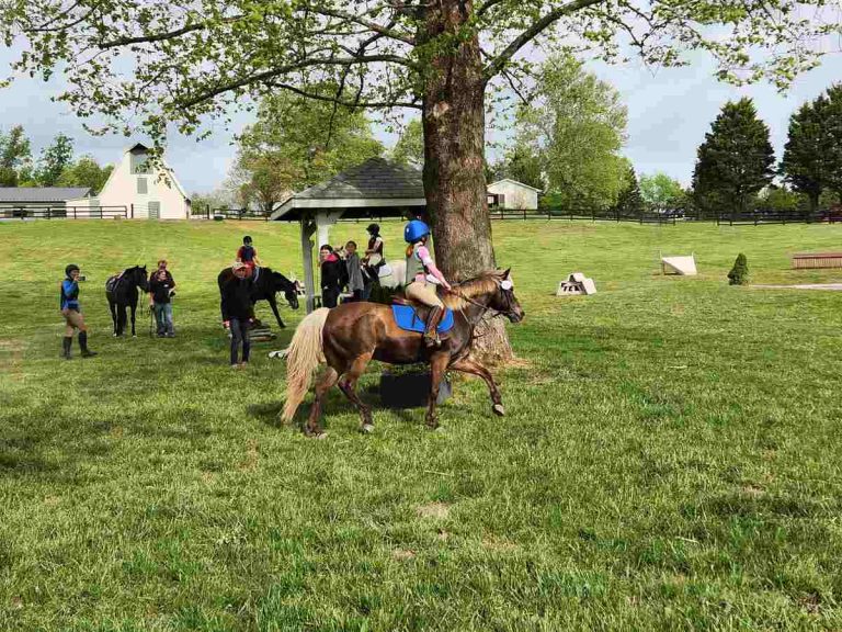 Small girl riding pony on grass