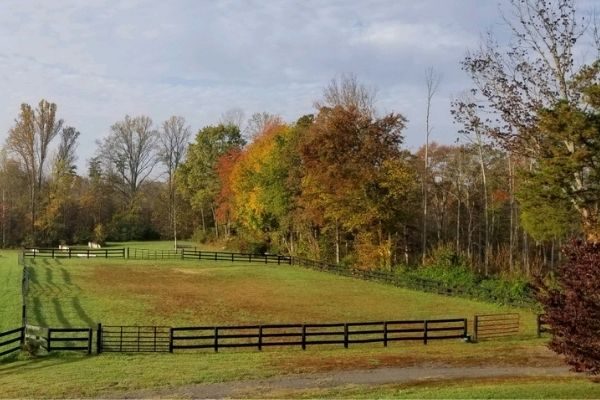Win Green Cross country schooling facility for driven eventers who want fun training with variety.​