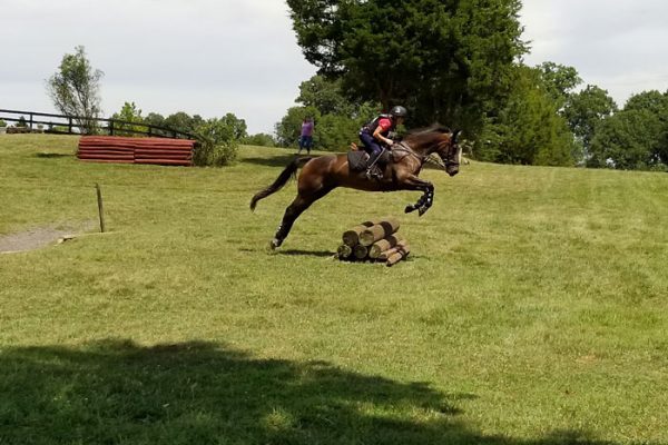 Win Green Cross country schooling facility, rider on horse jumping.