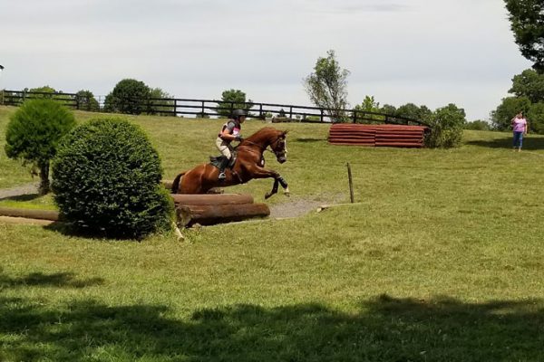 Win Green Cross country schooling facility in Northern Virginia, rider on horse jumping.