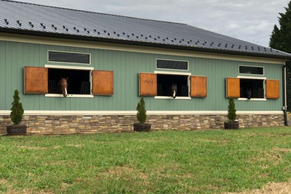 Win Green Cross country schooling in Northern Virginia, exterior of barn with horses looking out stall windows.